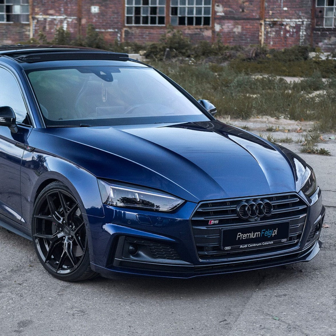 A5 | B9.5 | 2019 +