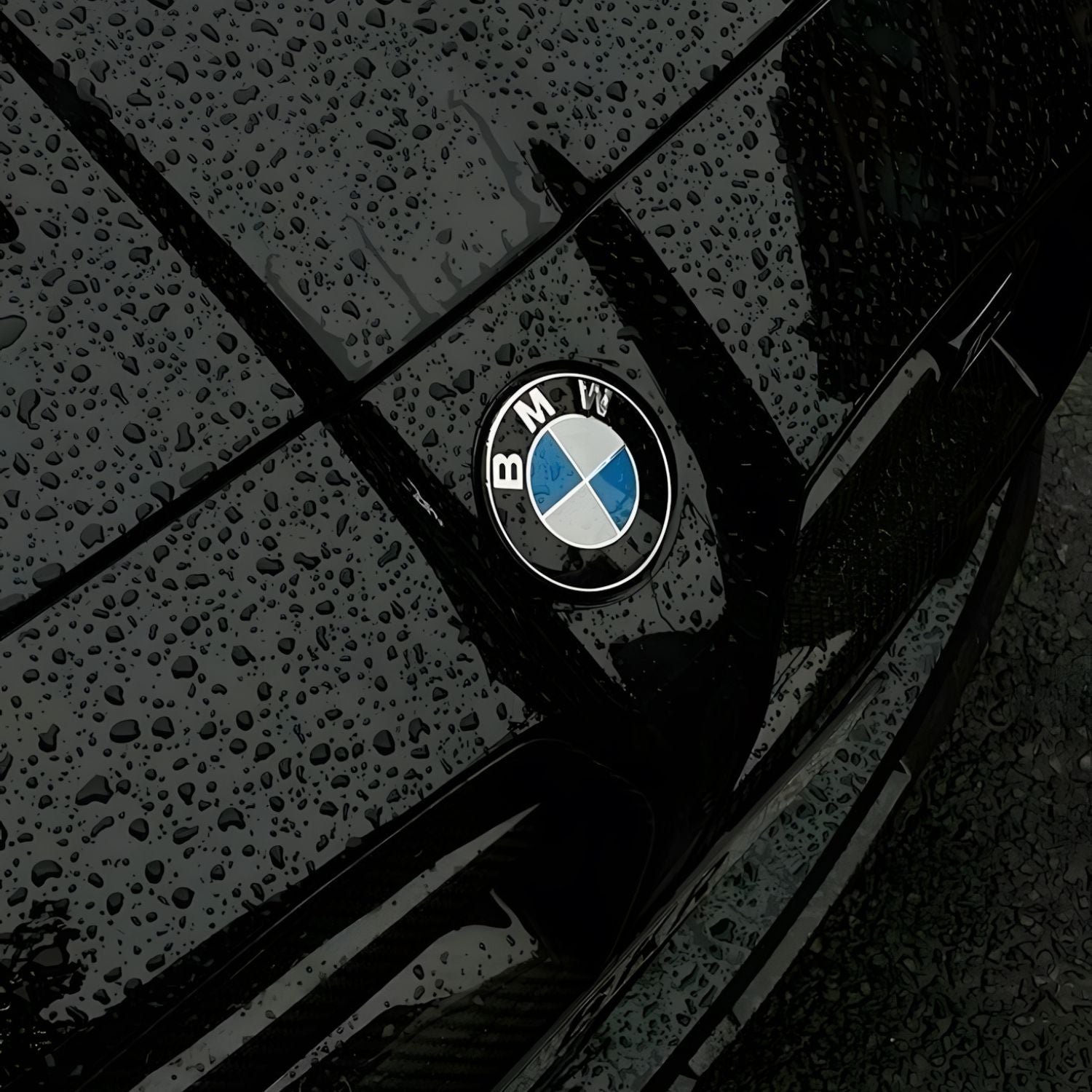 BMW | Euro Active Retrofits