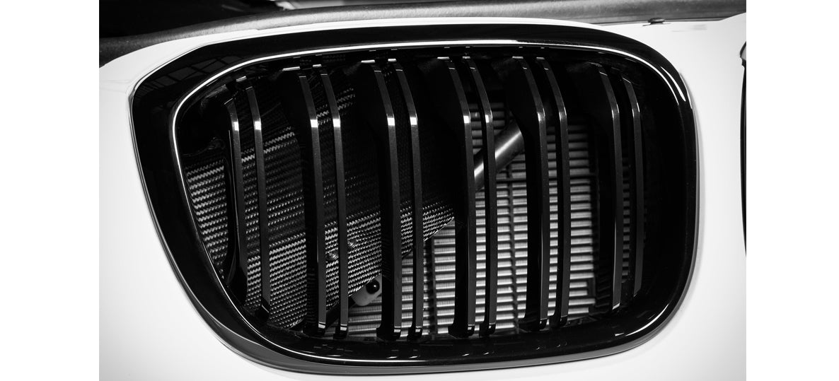 Eventuri BMW X3M/X4M | F9X | Carbon Intake
