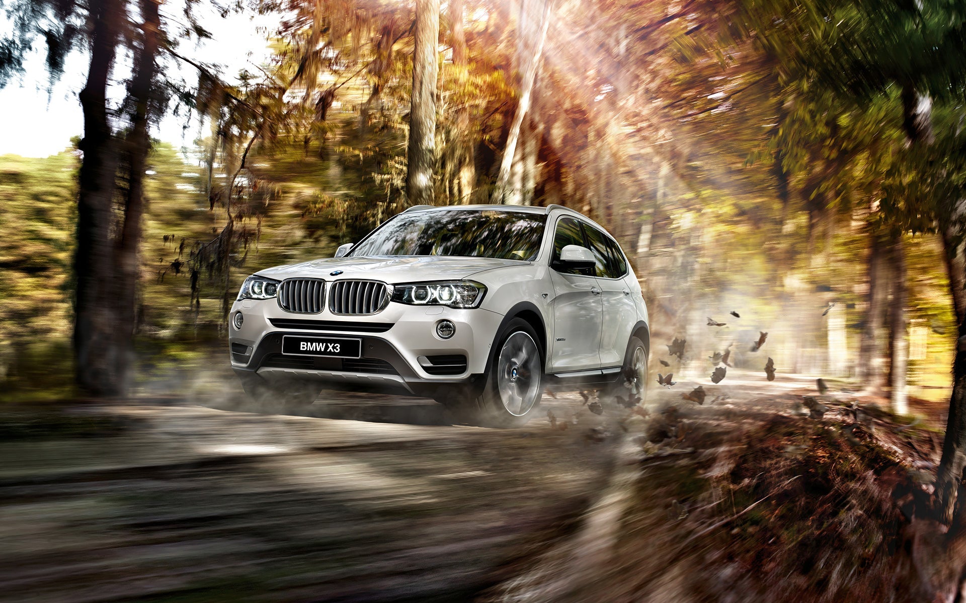 BMW X3 F25